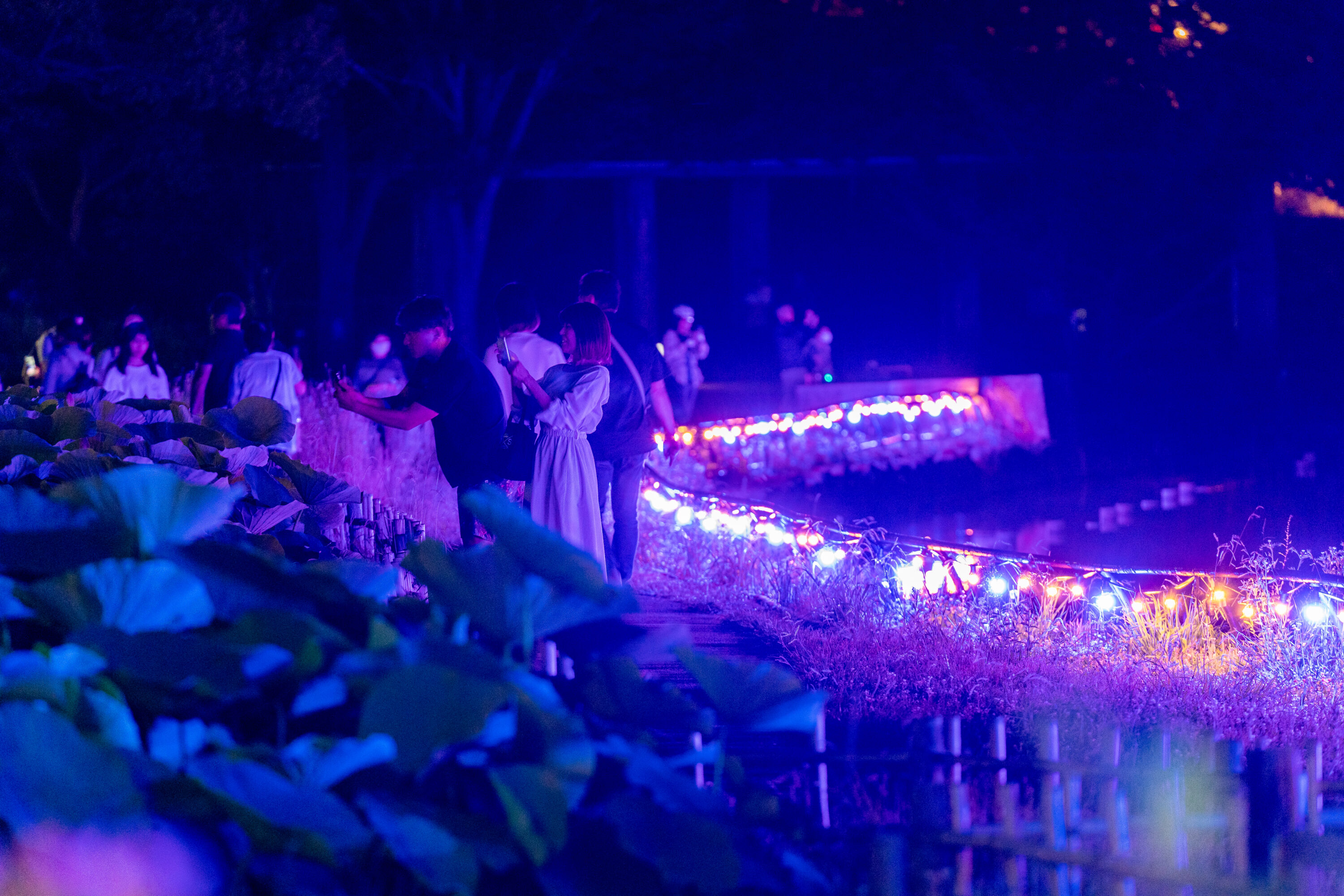 bayfm２つの番組でご紹介いただきます！のイメージ写真