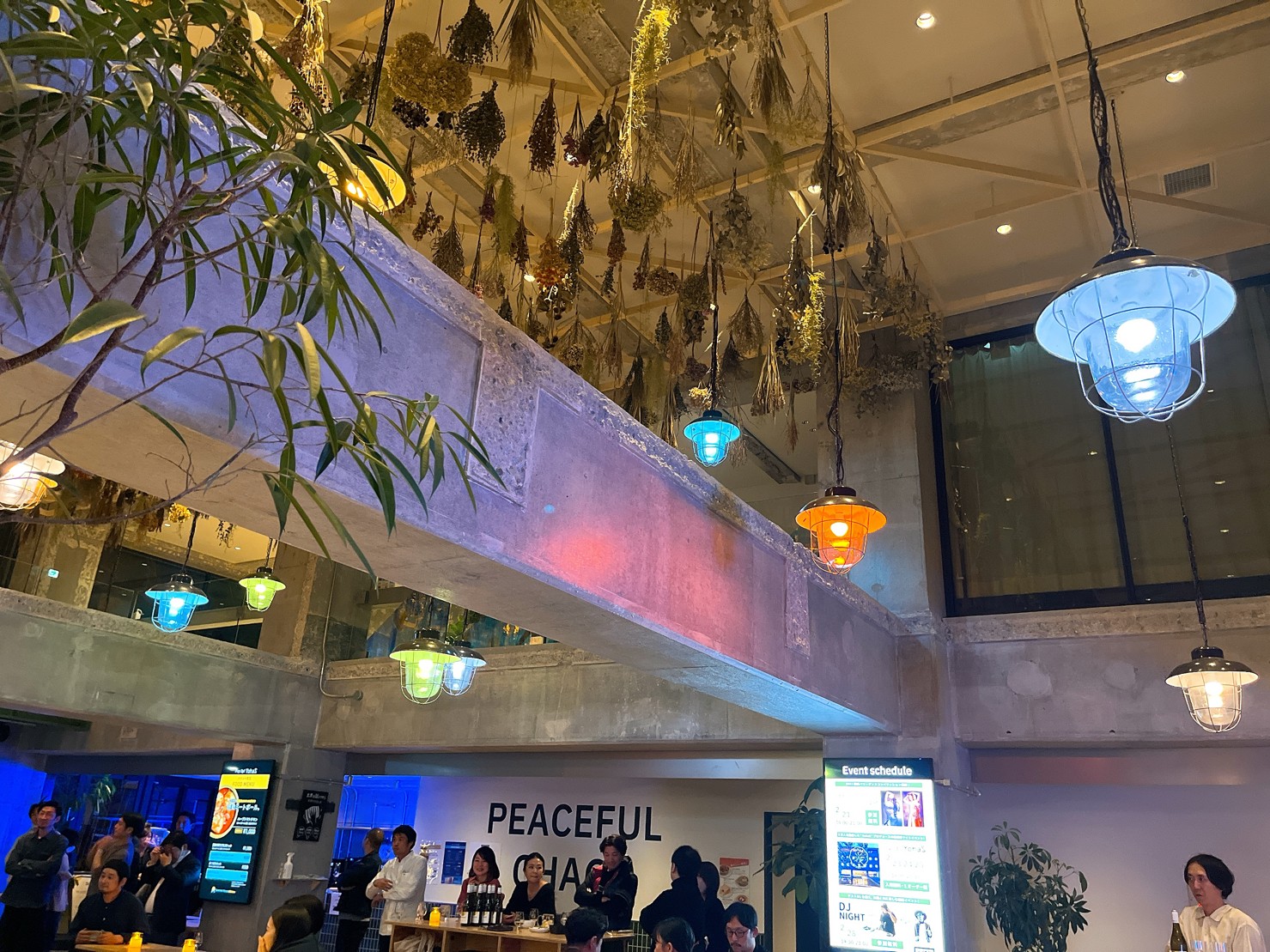 【最終日の見どころ】Pop Up！YohaS　the RECORDSにて開催！（当イベントは終了しました。）のイメージ写真