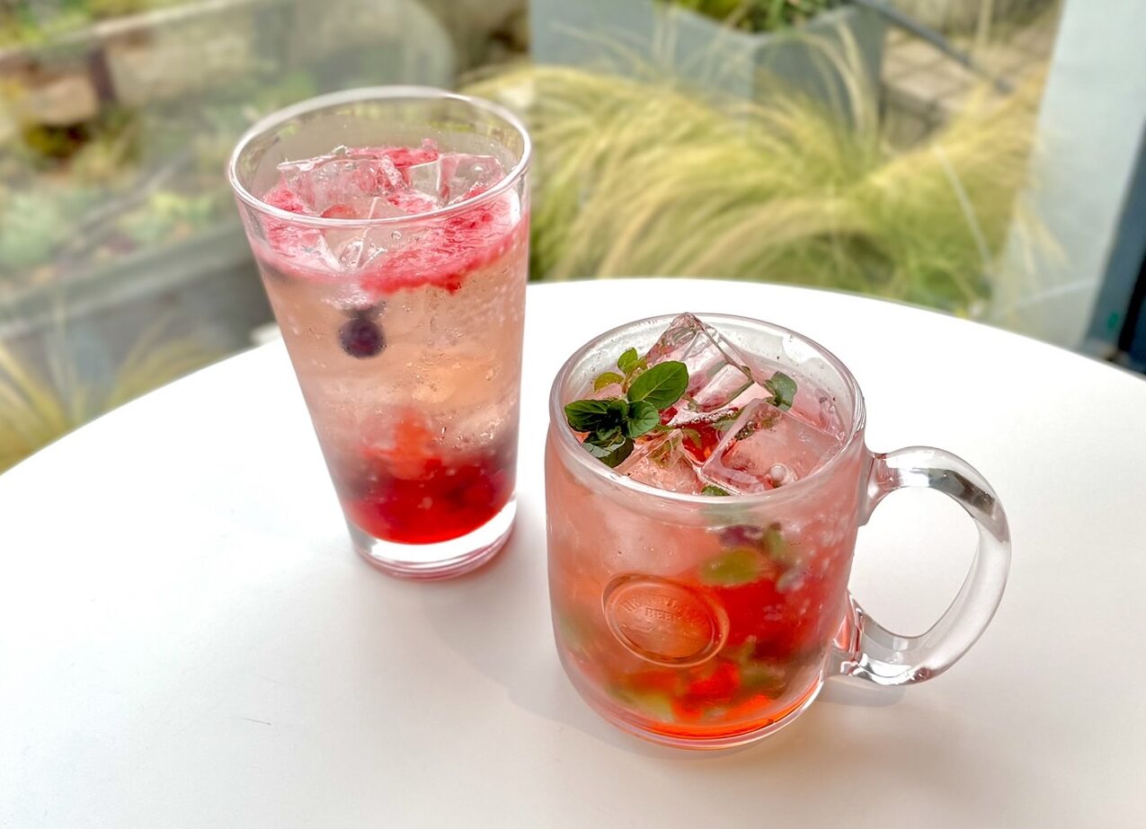 春のおすすめドリンクメニューのご紹介🌸のイメージ写真